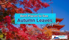 日本の紅葉・景色の名所10選