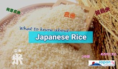 日本のお米について