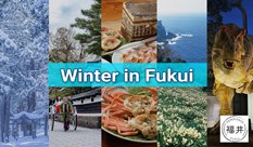 冬の福井県の楽しみ方