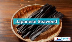 日本の海藻の種類