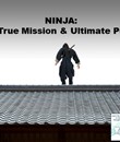 「NINJA」その本当のミッションと真の目的 (Part 1/3)